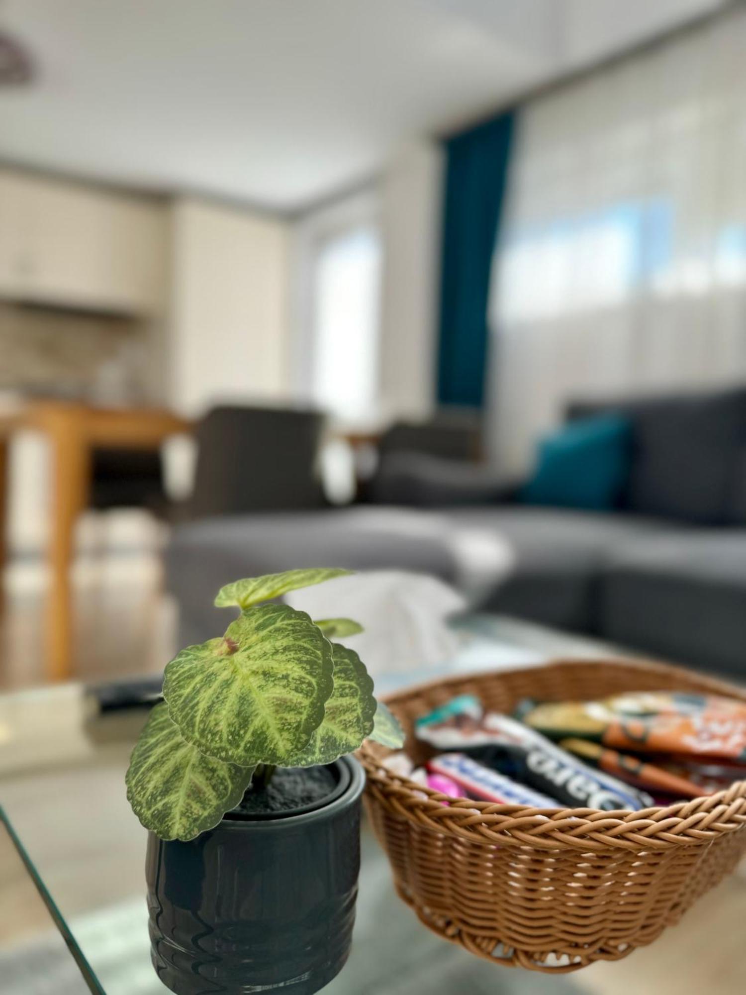 Citadel Duplex Suites 12 シギショアラ エクステリア 写真